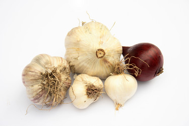 Similar image 989801