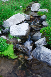 Similar image 989844