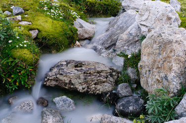 Similar image 989847