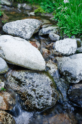 Similar image 989848