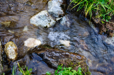 Similar image 989849