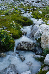 Similar image 989851