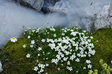 Similar image 989853