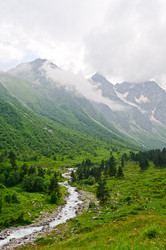 Similar image 989858