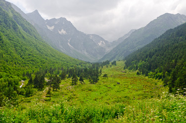 Similar image 989862