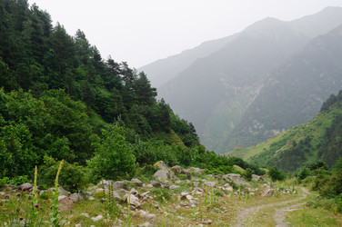 Similar image 989865