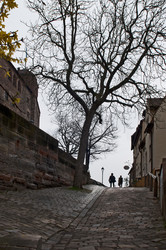 Similar image 990018