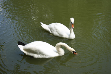 Similar image 990023