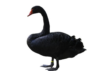 Similar image 990033