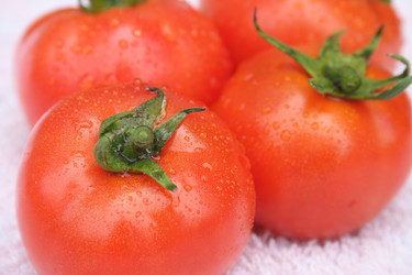 Similar image 990078