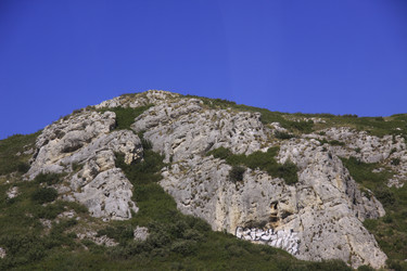 Similar image 990090