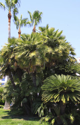 Similar image 990095