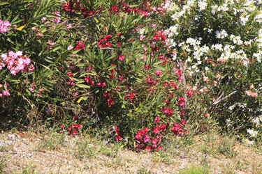 Similar image 990096