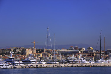 Similar image 990099