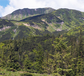 Similar image 990157