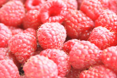 Similar image 990205