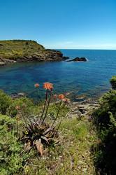 Similar image 990216