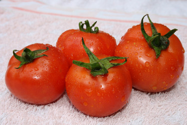 Similar image 990232