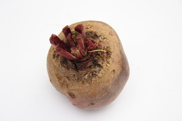 Similar image 990247