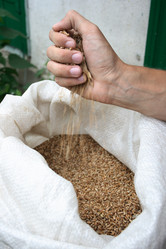 Similar image 990266