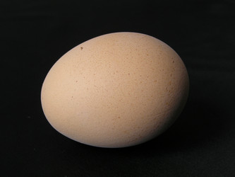 Similar image 990290