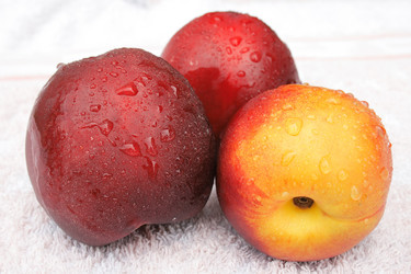 Similar image 990312