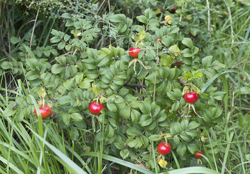 Similar image 990342