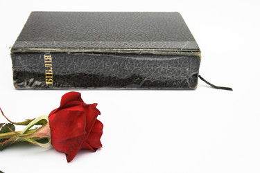 Similar image 990366