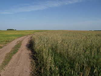 Similar image 990392