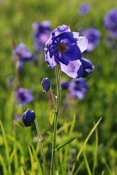 Similar image 990394