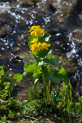 Similar image 990412