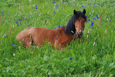 Similar image 990444