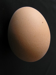 Similar image 990449