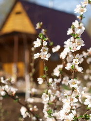 Similar image 990463