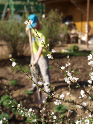 Similar image 990472