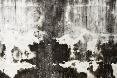 Similar image 990575