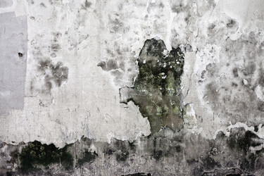 Similar image 990584