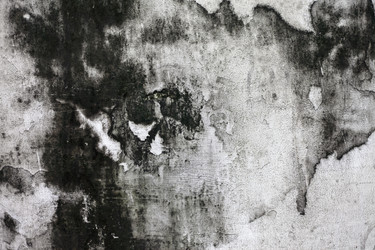 Similar image 990595