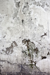 Similar image 990602