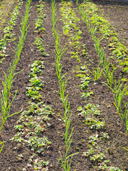 Similar image 990615