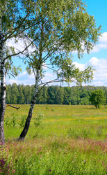 Similar image 990616