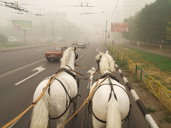 Similar image 990625