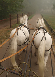 Similar image 990628