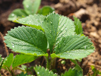 Similar image 990630