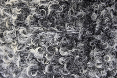 Similar image 990635