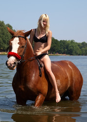 Similar image 990636