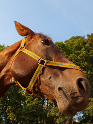 Similar image 990639