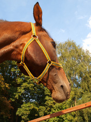 Similar image 990641