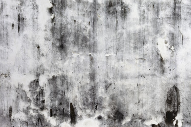 Similar image 990642