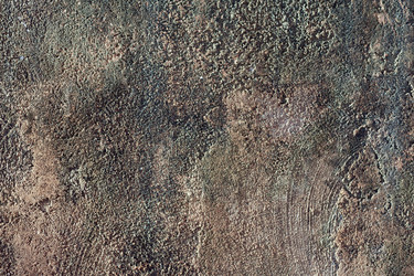 Similar image 990660